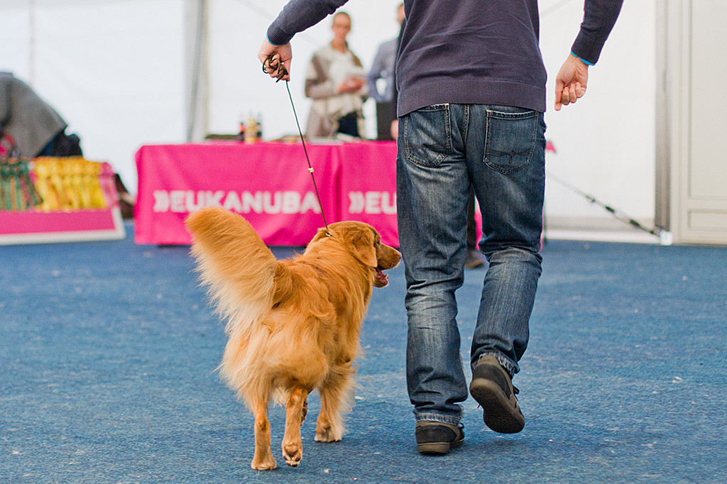 Edison läuft geführt von Stephan auf den Richter zu