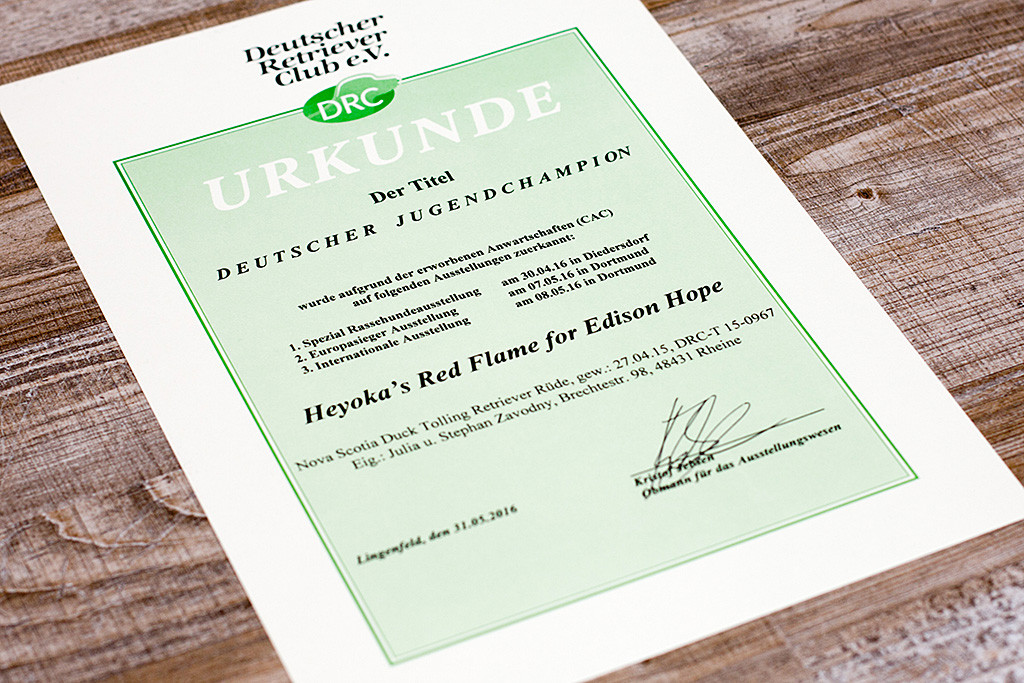 Edison ist nun Deutscher Jugend-Champion DRC