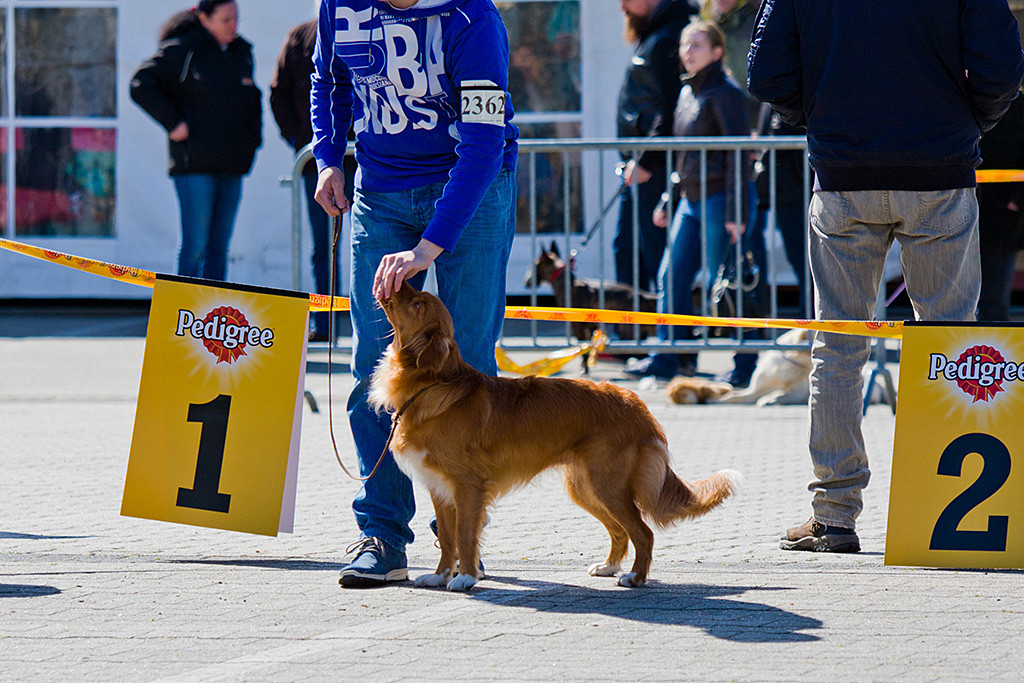You Are My Sunshine Under The Red Sky wird ausgestellt