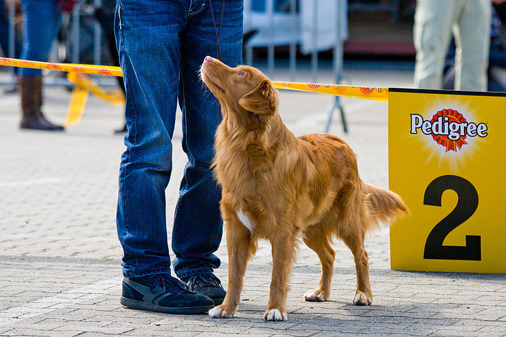 Edison schaut zu Stephan hoch