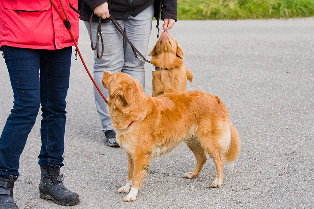 Edison sitzt neben Julia und Frieda steht neben Sigrid