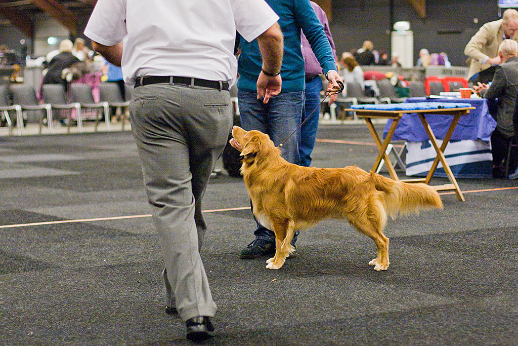 Edison steht mit Stephan vor dem Richter, der ihn begutachtet