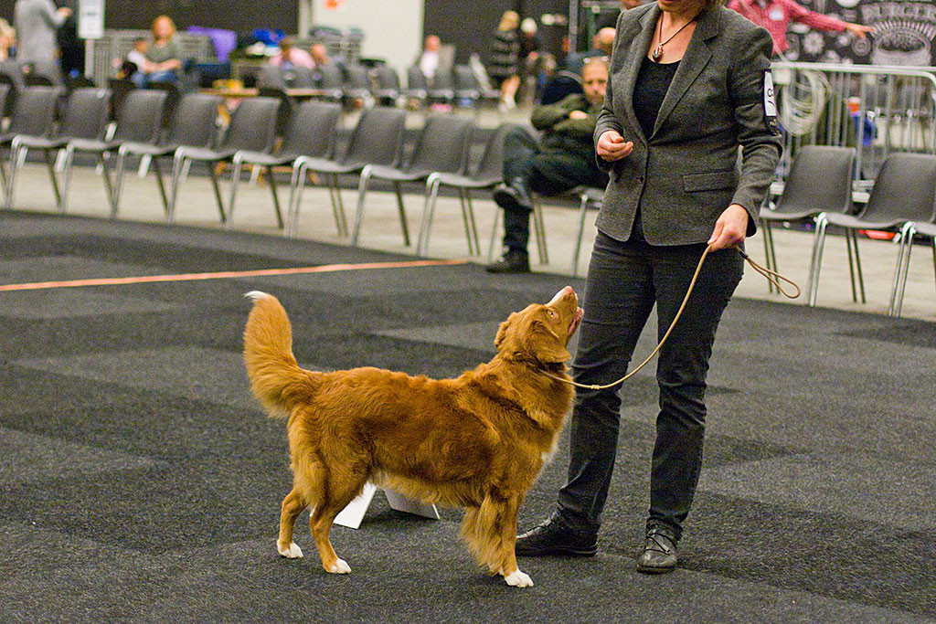 Rassebester des Tages Suncatcher’s Happy Hour