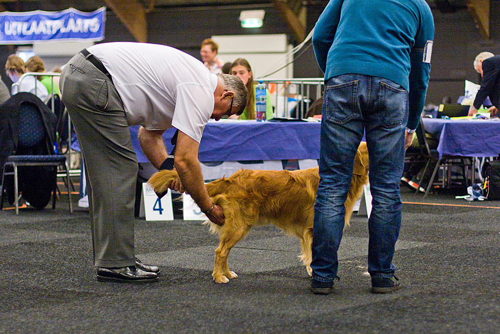 Edisons Rute wird vom Richter angehoben, der die Testikel kontrolliert, Stephan steht daneben