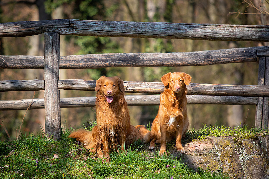 Edison sitzt neben Ivalu auf einer Brücke, die über einen Bach geht