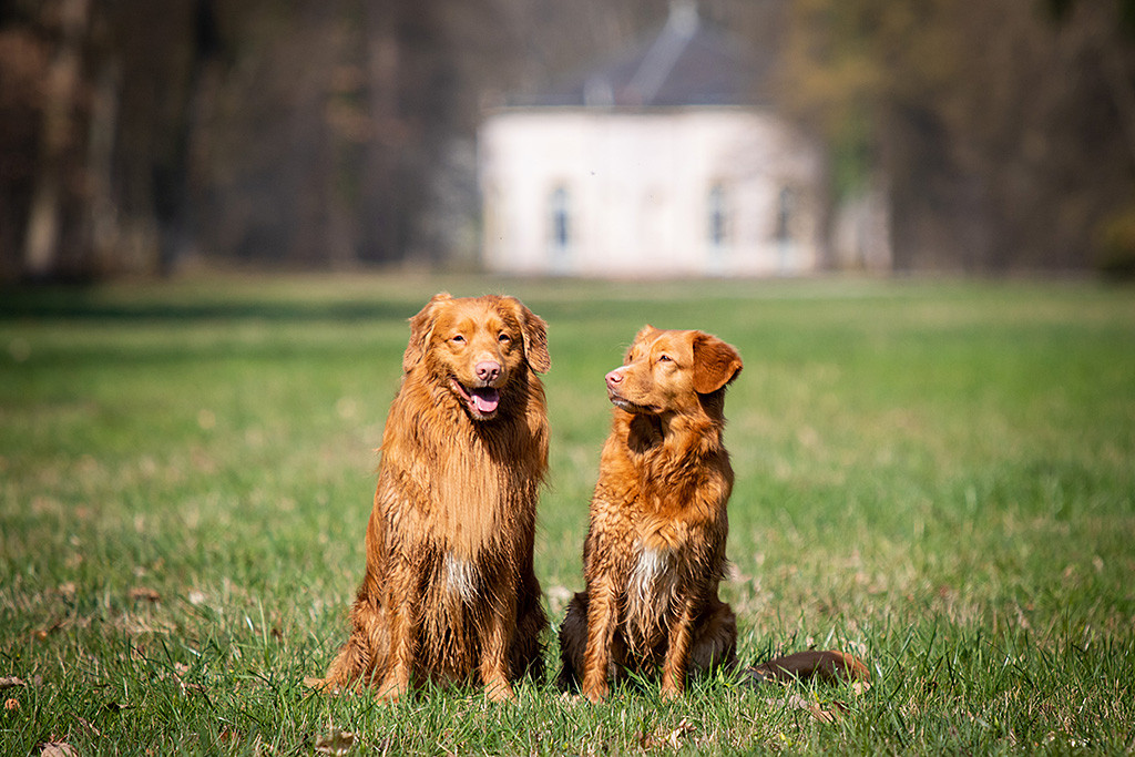 Edison sitzt  schelmisch lächelnd neben Ivalu, die ihn anschaut, auf einer großen Wiese