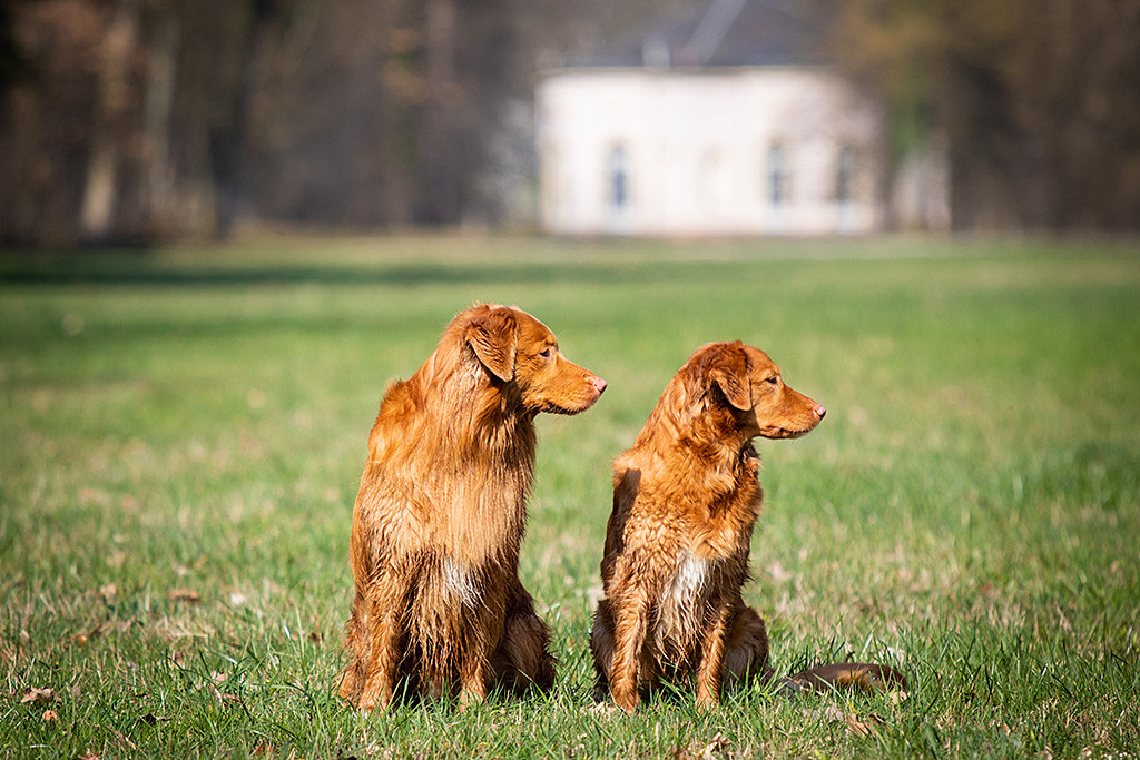 Edison sitzt neben Ivalu auf einer großen Wiese, beide schauen nach rechts zur Seite