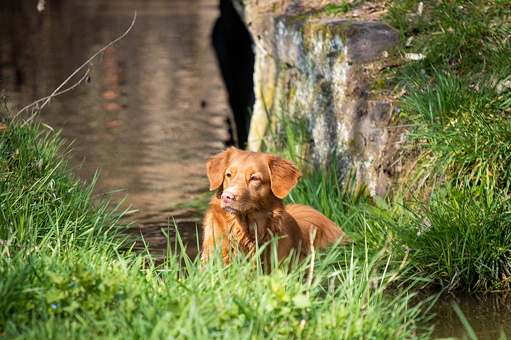 Ivalu steht im Wasser und schaut das Ufer hoch