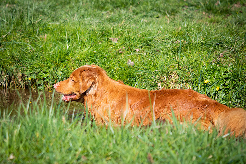 Edison steht bis zum Bauch im Wasser und grinst dabei