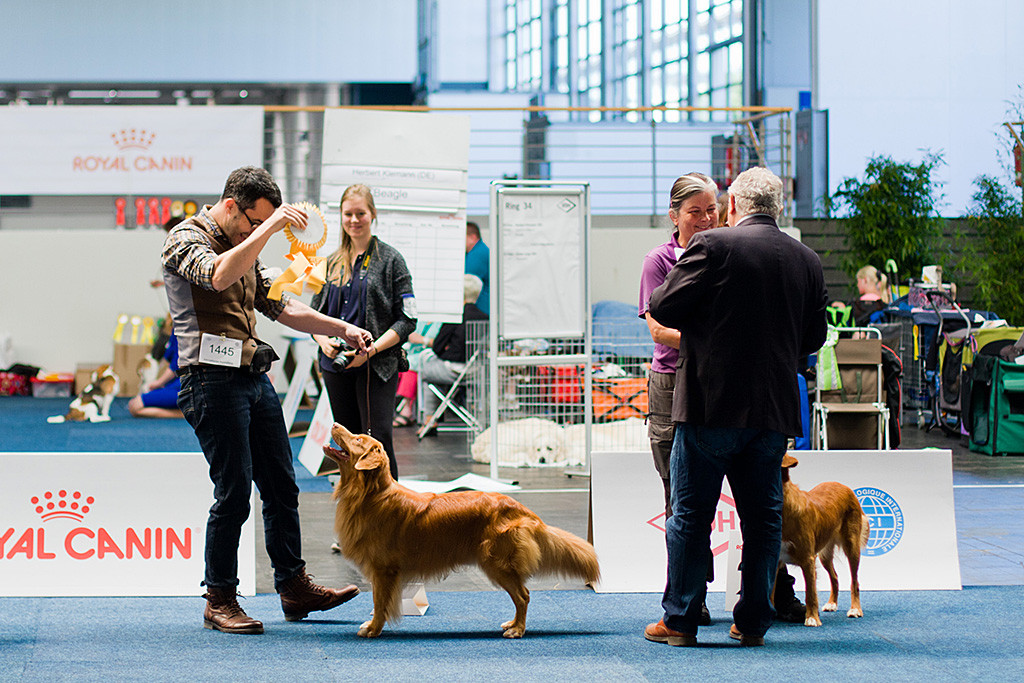 Edison freut sich mit Stephan über den Gewinn zum Rassebesten