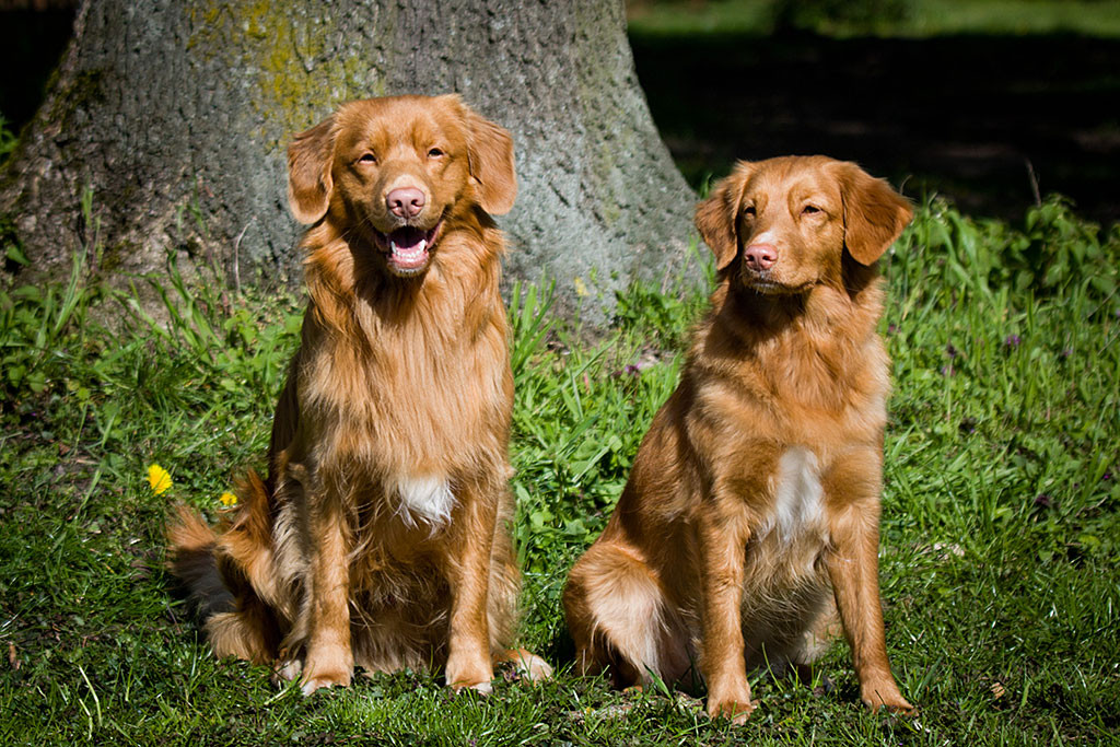 Edison und Ivalu sitzen Seite an Seite