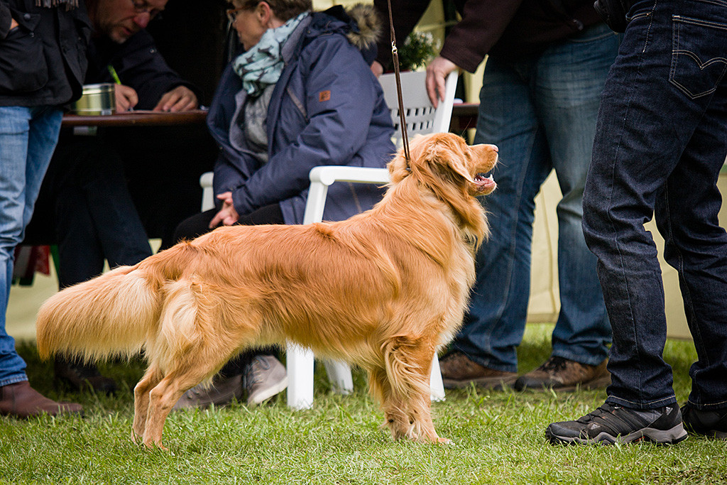 Edison steht mit Stephan vor dem Richterpult, die Richterin diktiert die Beurteilung
