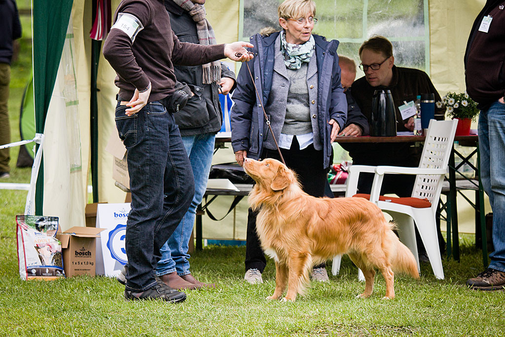 Edison steht mit Stephan vor dem Richterpult, die Richterin steht hinter Edison