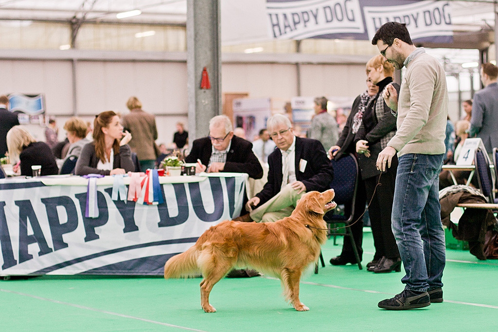 Edison steht lächelnd mit Stephan vor dem Richterpult, im Hintergrund begutachtet ihn der Richter