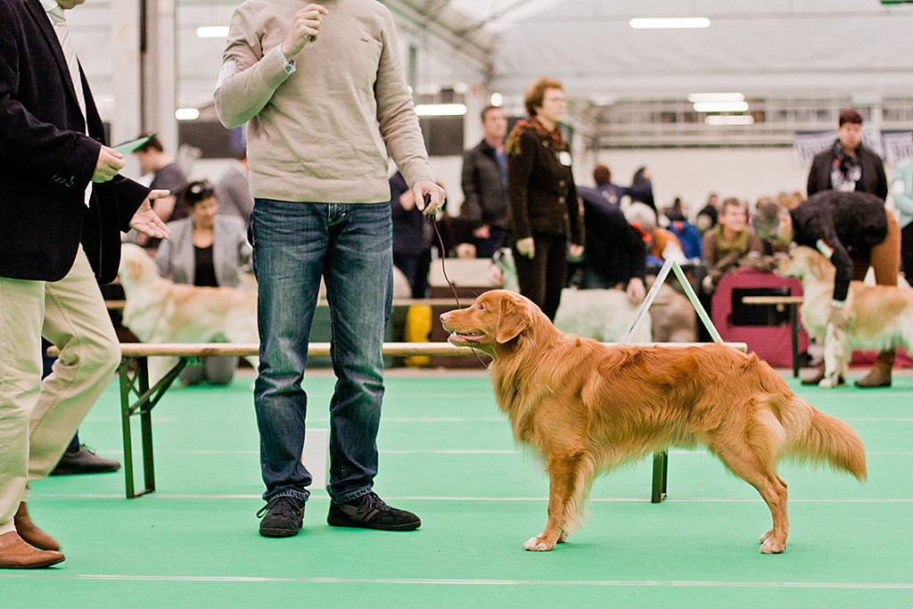 Edison nimmt zusammen mit Stephan Aufstellung vor dem Richter