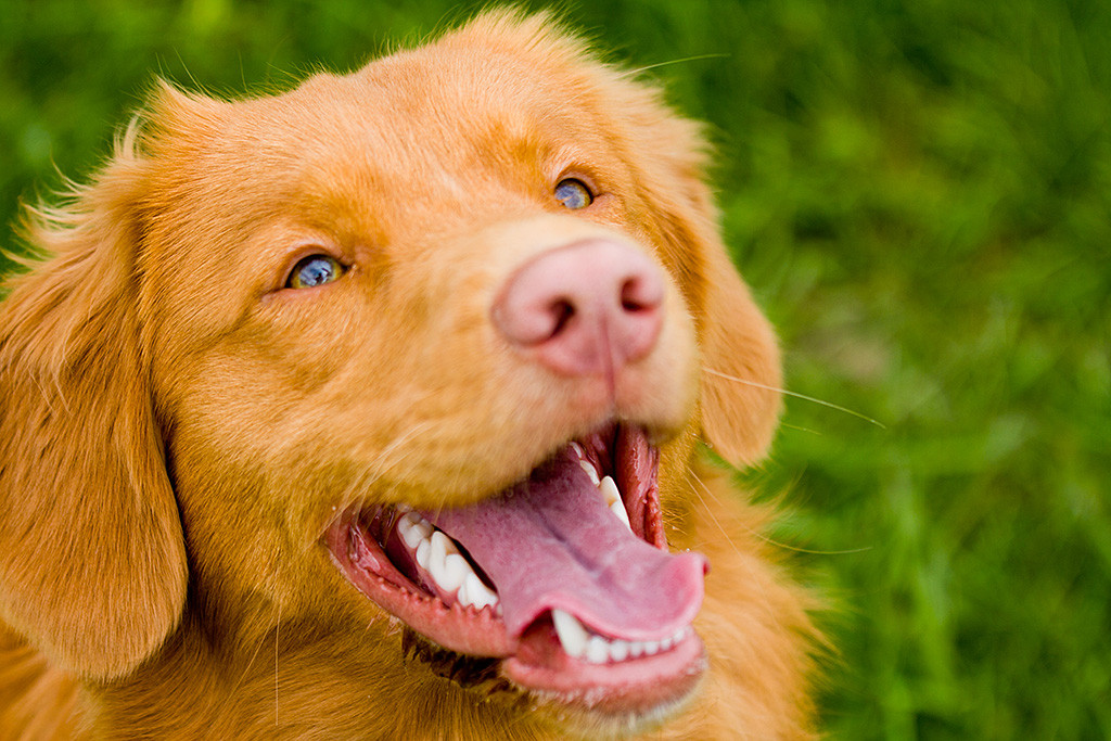 Edison schaut lächelnd nach oben in die Kamera