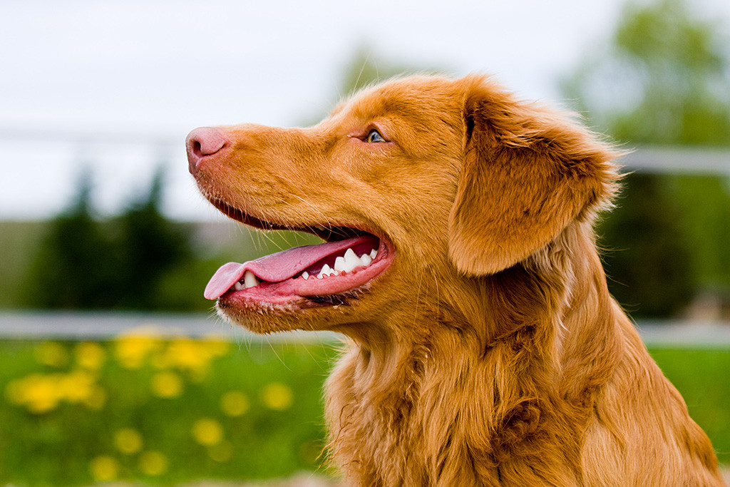 Edison lächelnd von der Seite