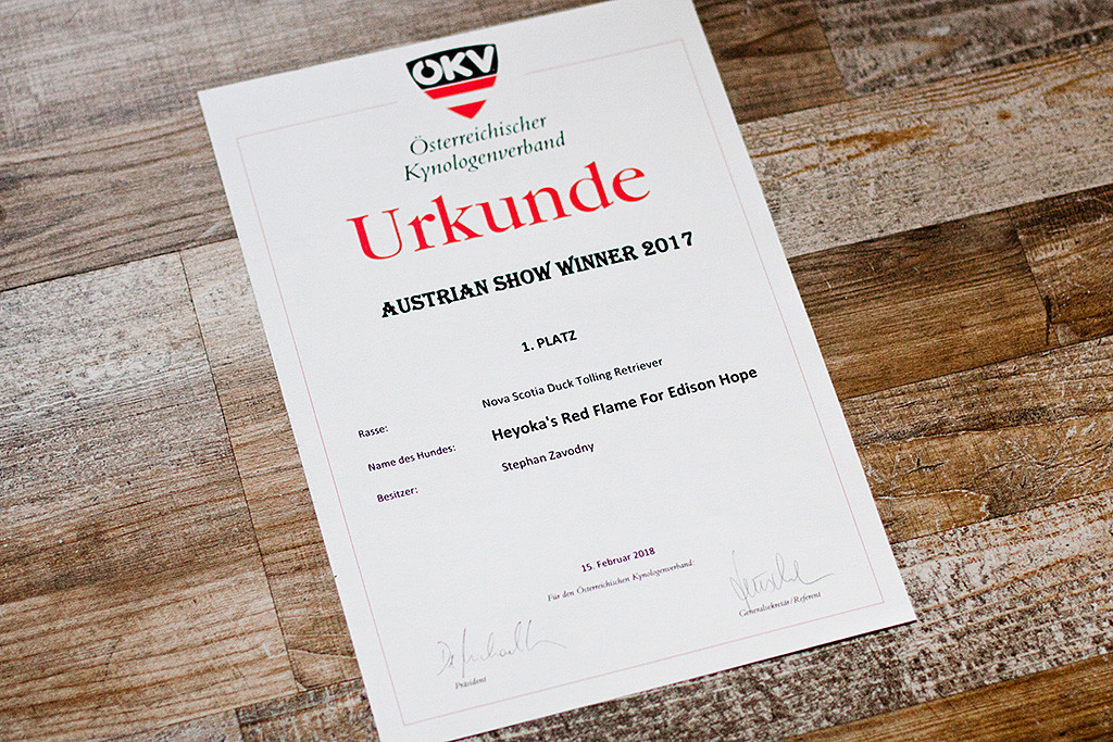 Edisons Urkunde zum österreichischen Ausstellungsgewinner 2017