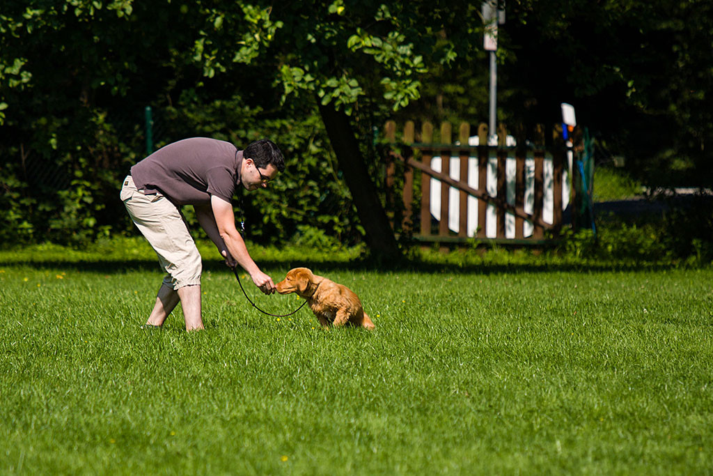 Edison riecht an Stephans Hand