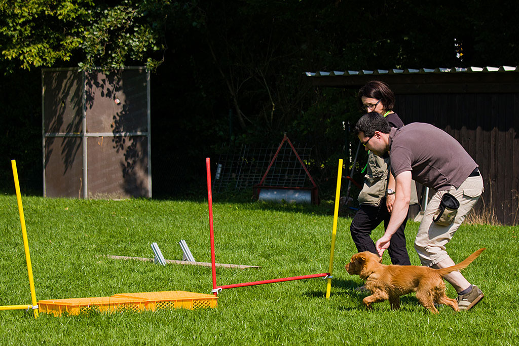 Edison läuft mit Stephan auf eine Hürde zu