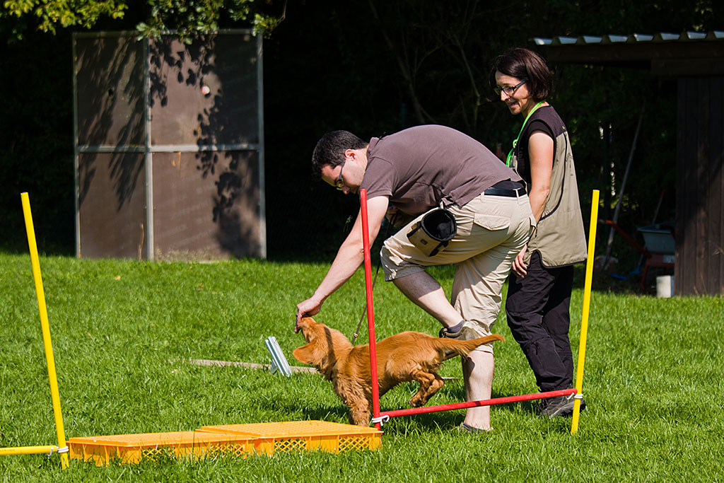 Edison und Stephan haben die Hürde zusammen gemeistert