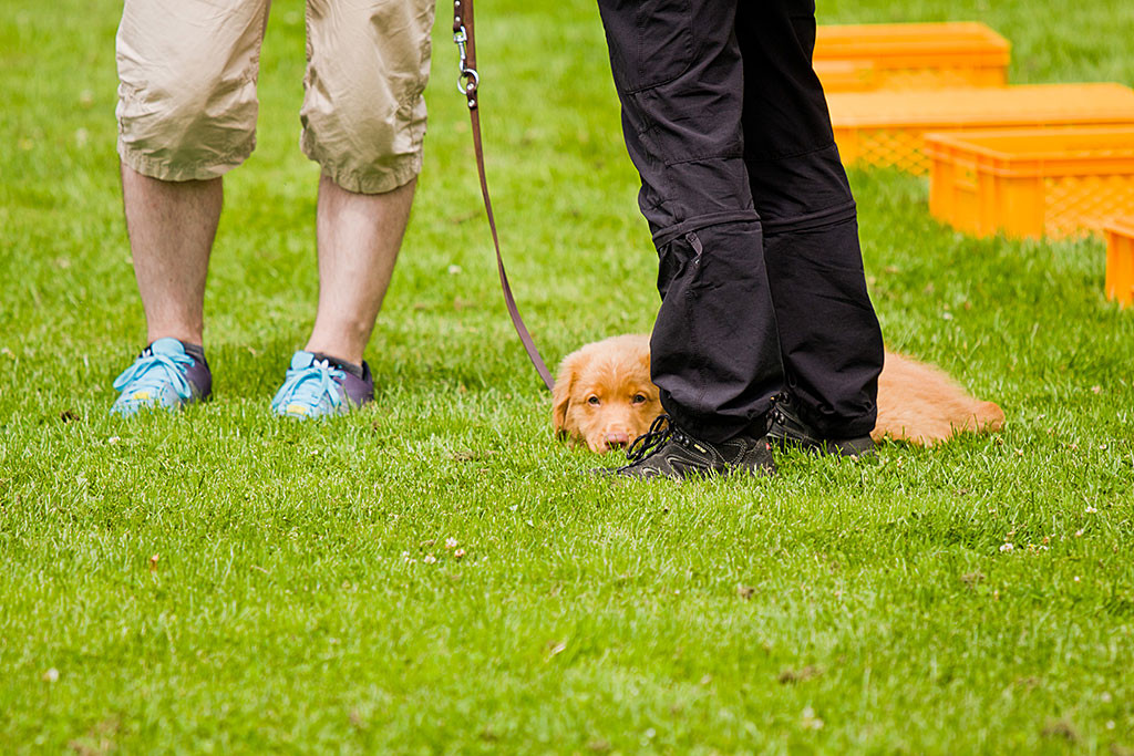 Edison liegt zu Nicoles uns meinen Füßen