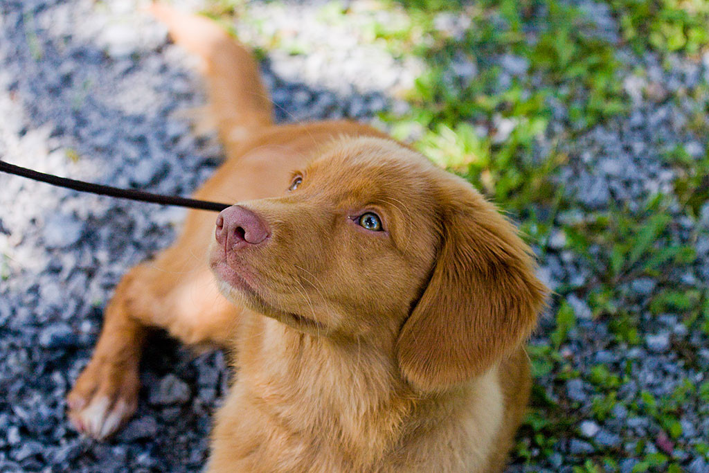 Edison schaut Stephan erwartungsvoll an