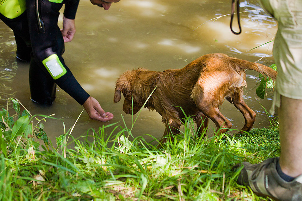 Edison steht am Rand vom Teich und illert nach einem Leckerchen