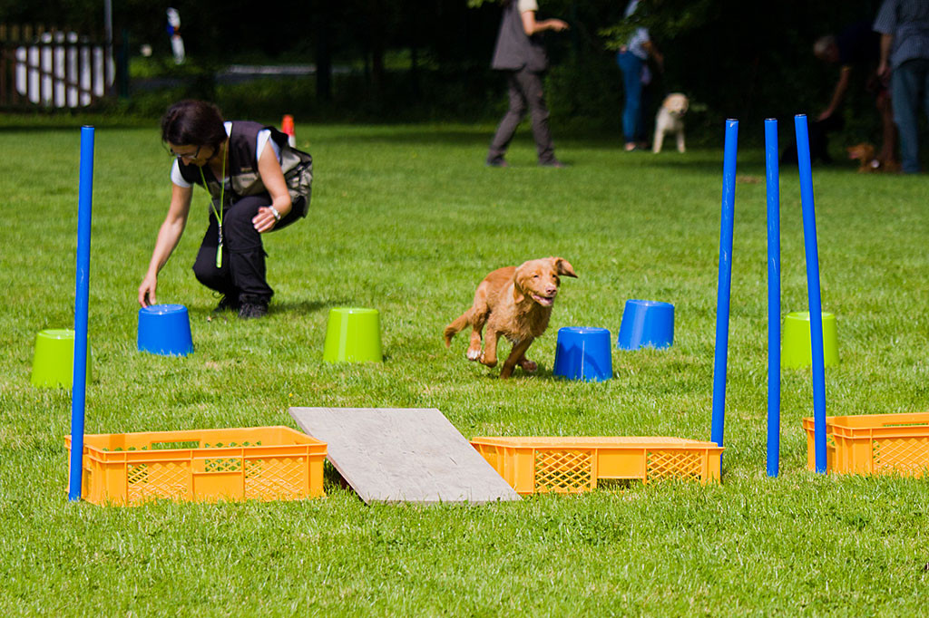 Edison wetzt in Richtung Stephan