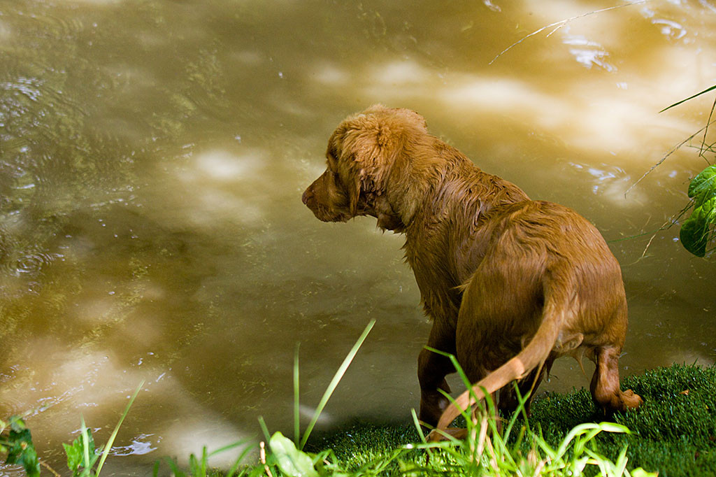 Edison steht am sehr steilen Wassereinstieg