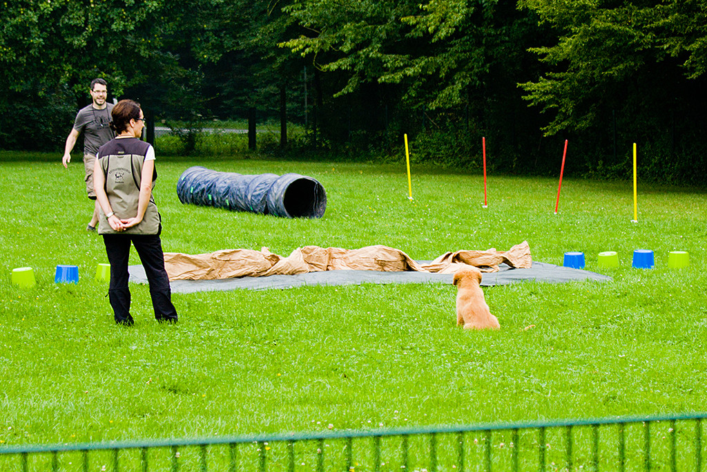 Edison wartet, dass Stephan ihn ruft