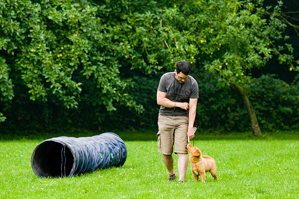 Edison läuft mit Stephan bei Fuß