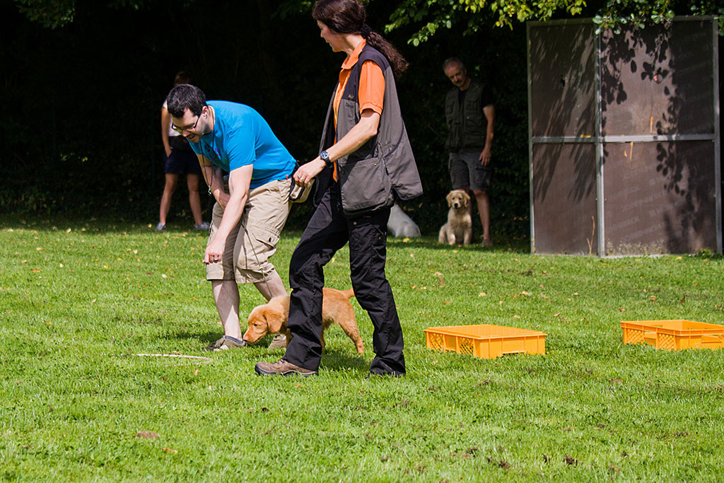 Edison läuft über verschiedene Hindernisse