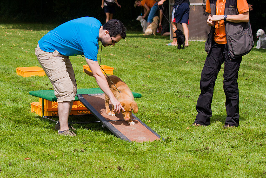Edison läuft über eine Rampe vom Podest runter