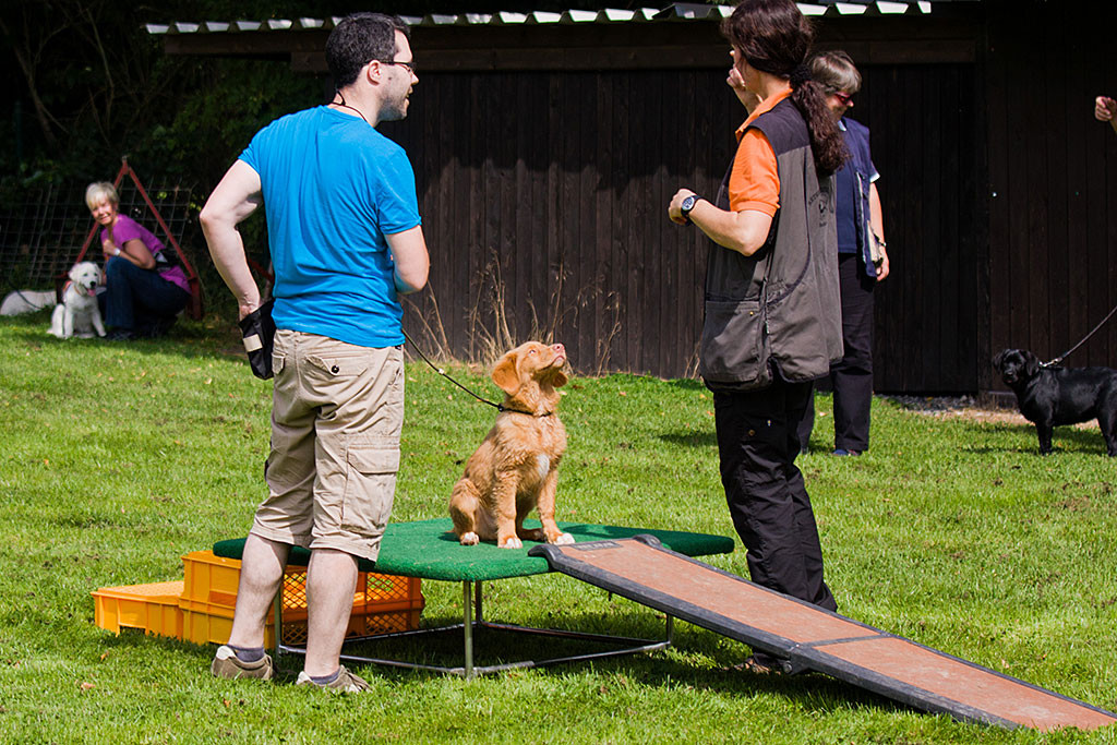 Edison sitzt auf dem Podest