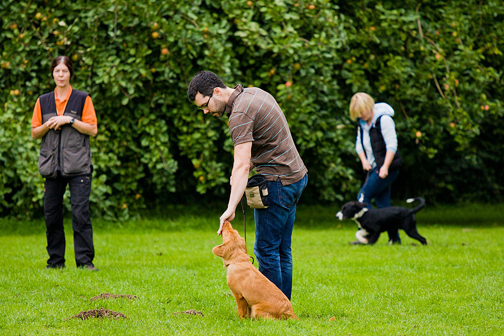Edison wird mit einem Leckerchen belohnt