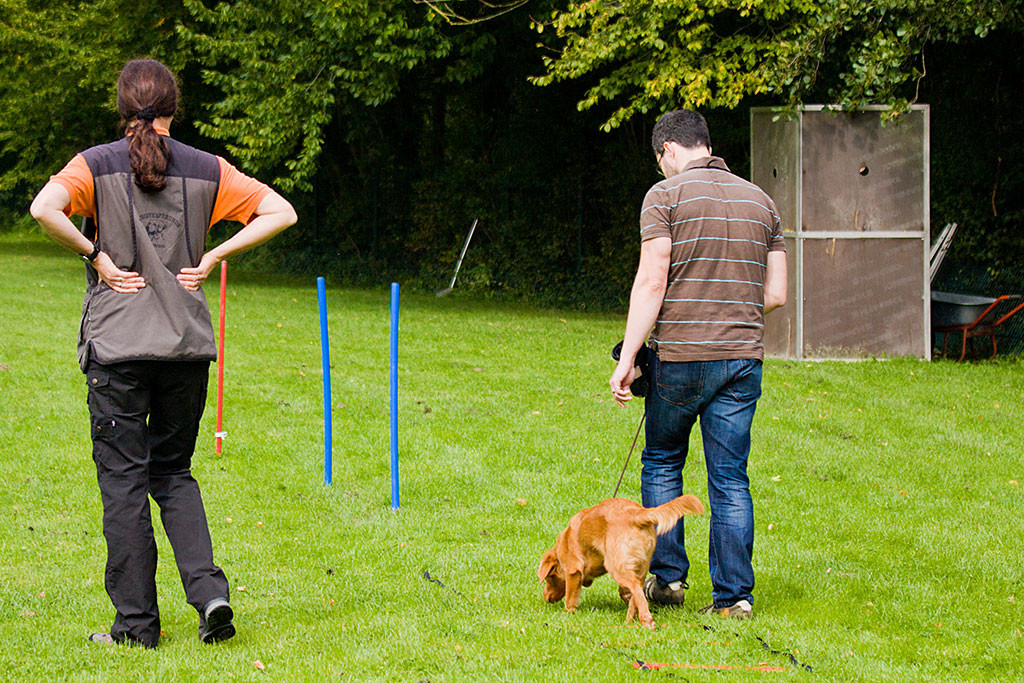 Edison läuft mit Stephan über ein Gitter auf dem Boden