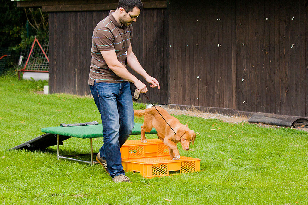 Edison läuft das Podest über Stufen herunter