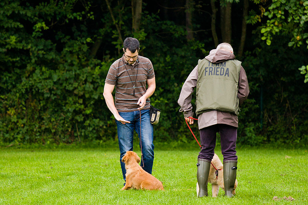 Edison ist gerade dabei Platz zu machen