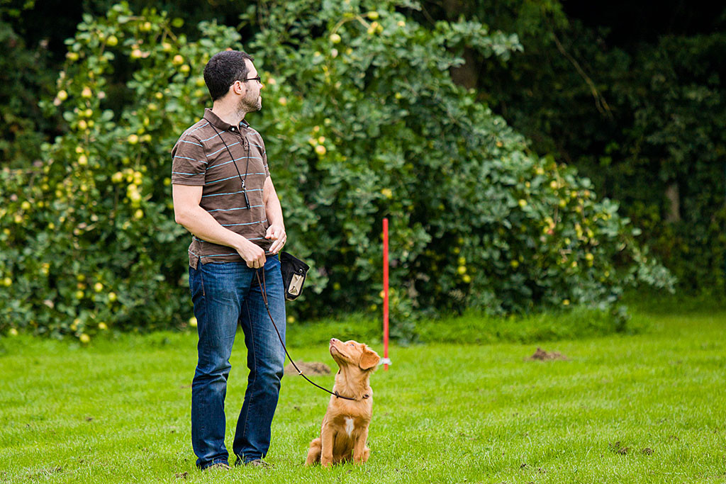 Edison himmelt Stephan an