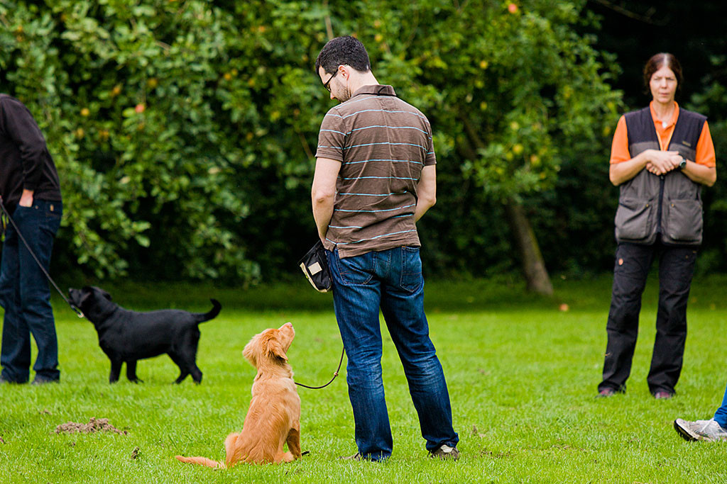 Edison hätte gern noch ein Leckerchen von Stephan
