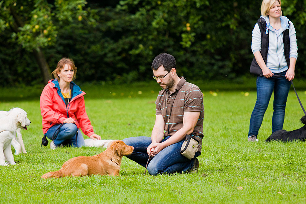 Edison und Herrchen machen eine Entspannungsübung