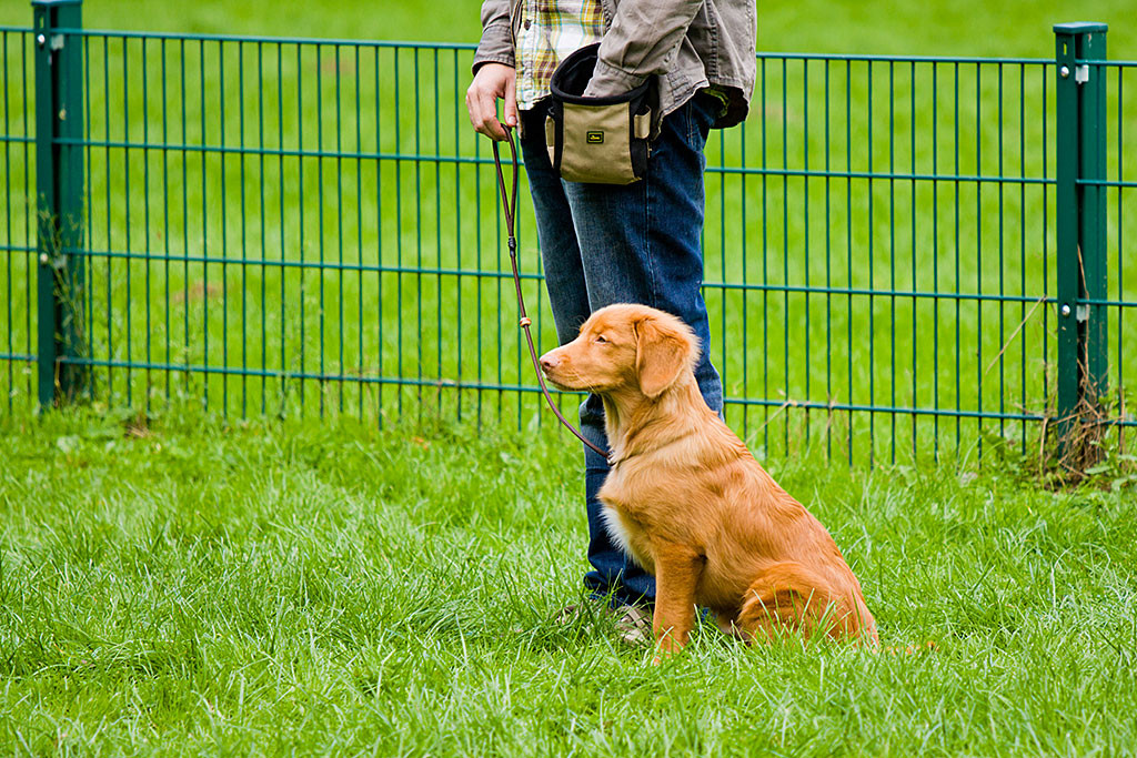 Edison sitzt mit stolzer Brust neben Stephan