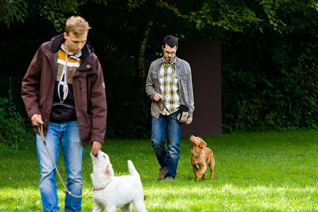 Edison schaut Stephan mit seiner Pfeife im Mund sehr aufmerksam an während sie nebeneinander laufen