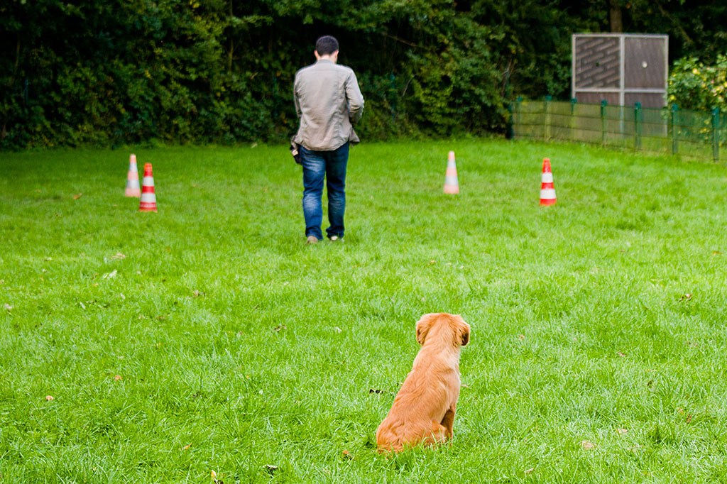 Edison schaut Stephan beim Weggehen hinterher