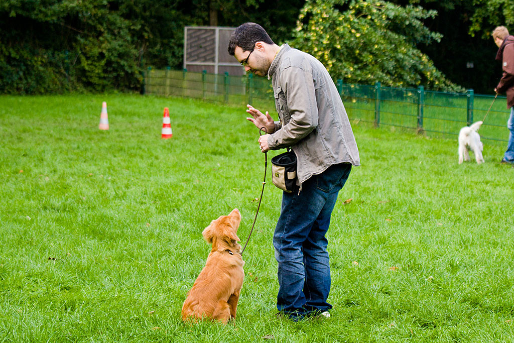 Edison bekommt von Stephan das Handzeichen zum Sitzenbleiben