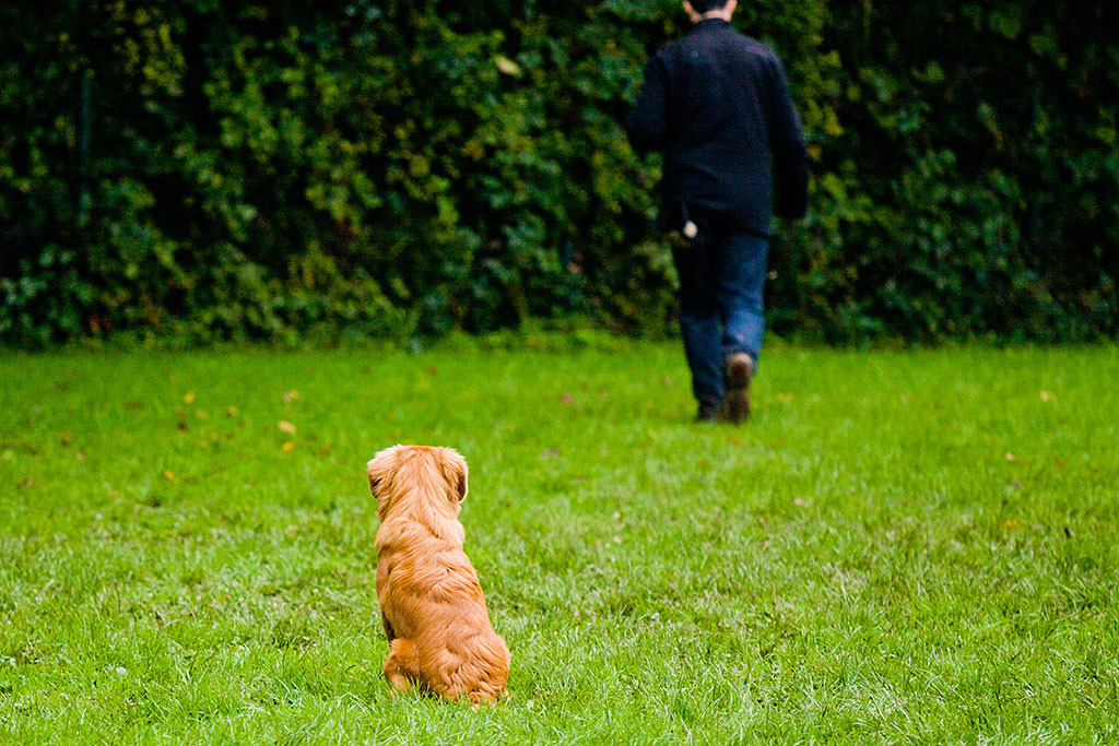 Edison wurde abgesetzt und Stephan entfernt sich von ihm