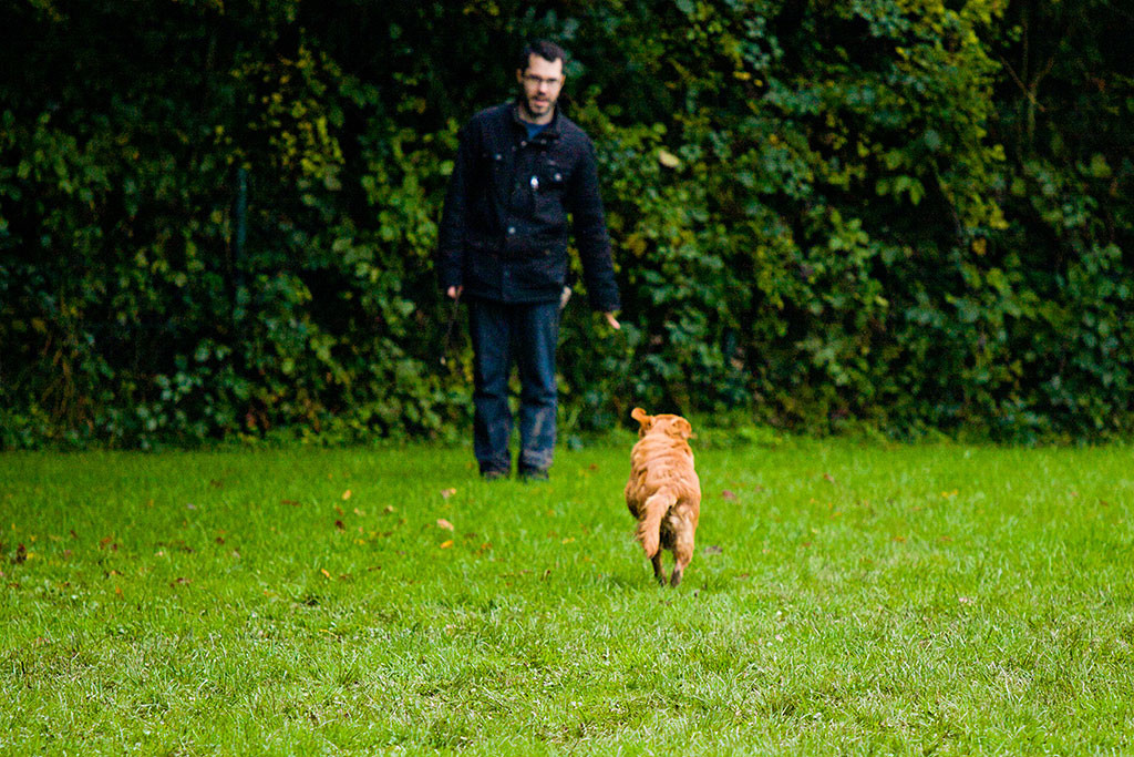 Edison wurde von Stephan per Pfiff gerufen und eilt zu ihm