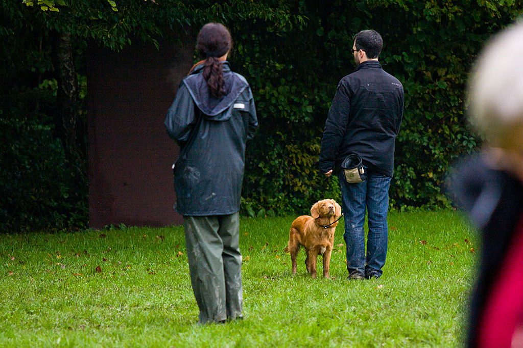 Edison steht vor Stephan und wartet auf das Signal