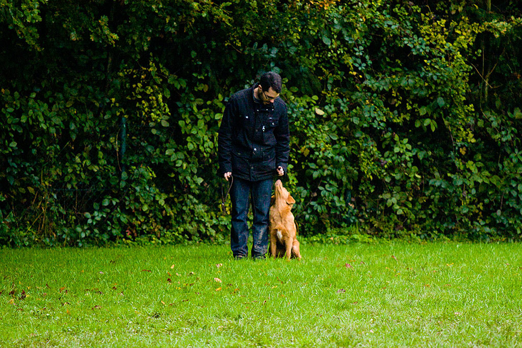 Edison sitzt nach dem Rückruf in der Grundstellung neben Stephan